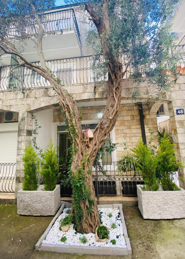 Apartment Oliva1 Petrovac المظهر الخارجي الصورة